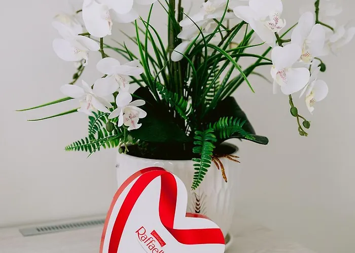 Residenza La Boheme Lägenhet Verona